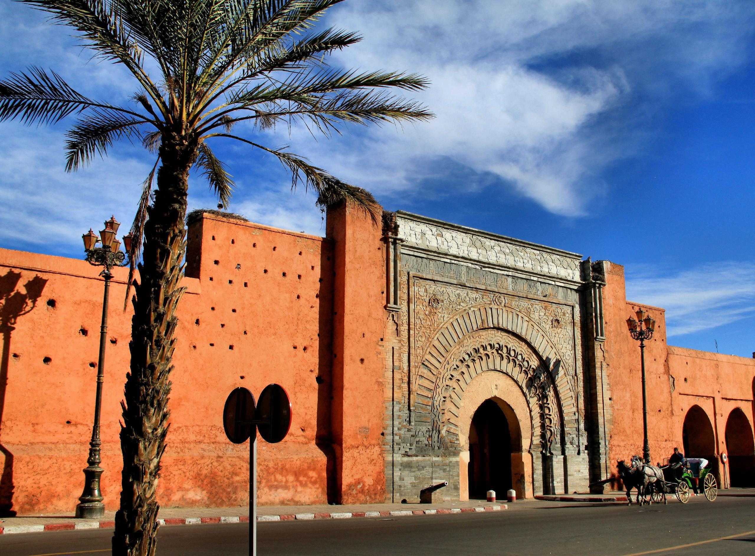 www.immobilier-pro-maroc.com