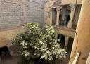 Riad