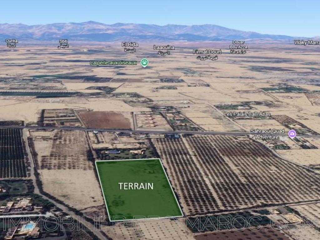 Terrain todo