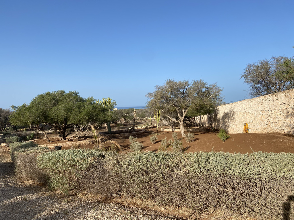 Villa en Vente à Essaouira