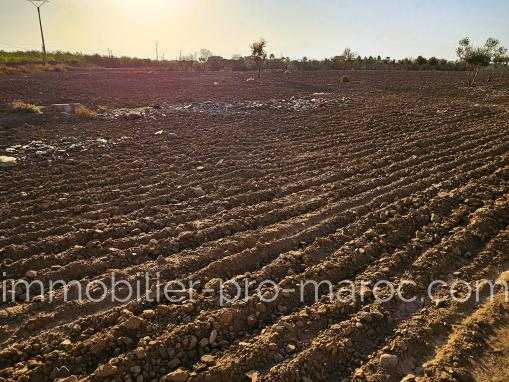 Terrain Marrakech