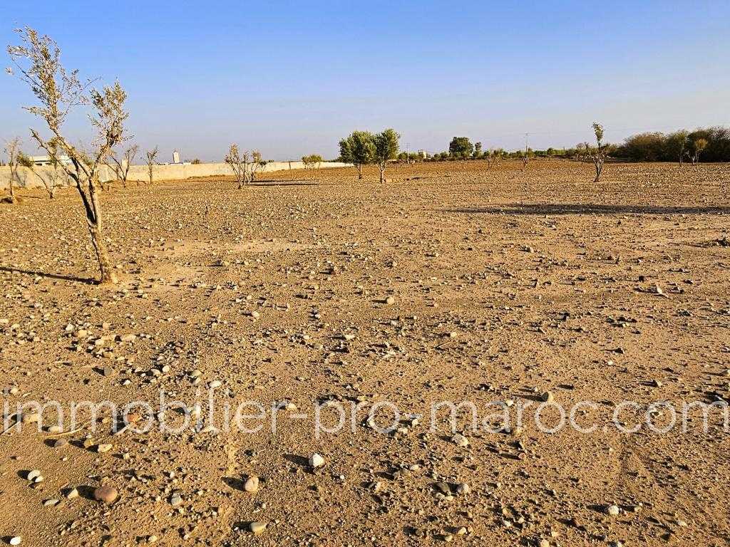 Terrain en Vente à Marrakech