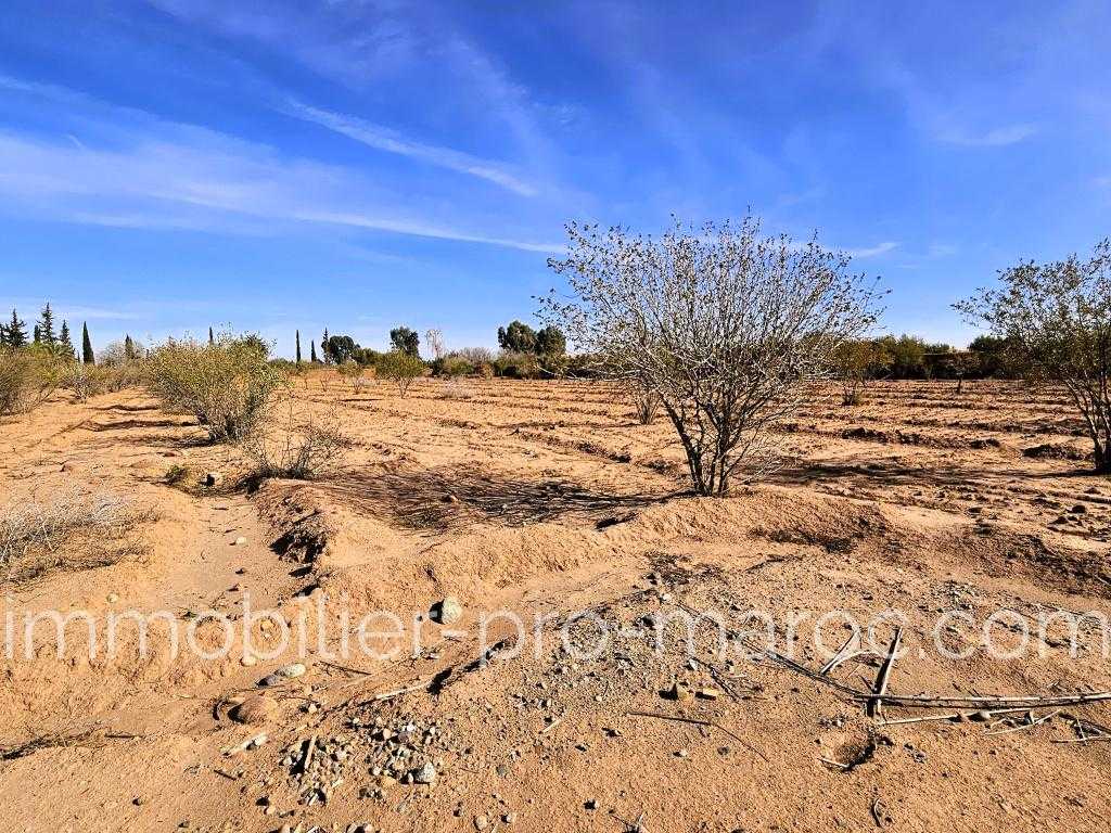 Terrain en Vente à Marrakech